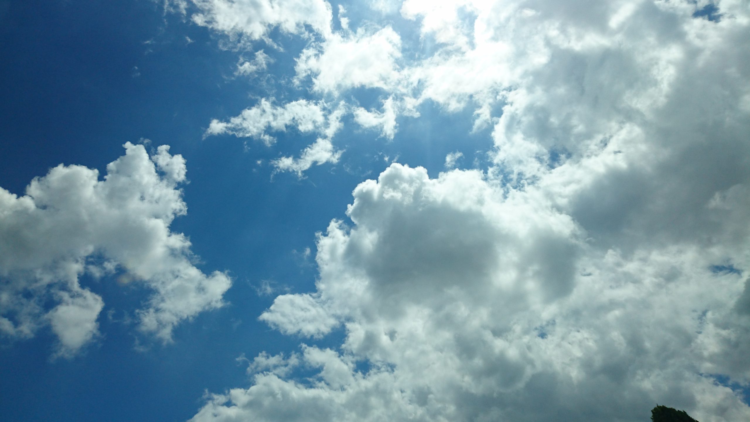 【大空 / Open the sky】 -13th Original Album[Thanks For Everything 2000] 1997 #single